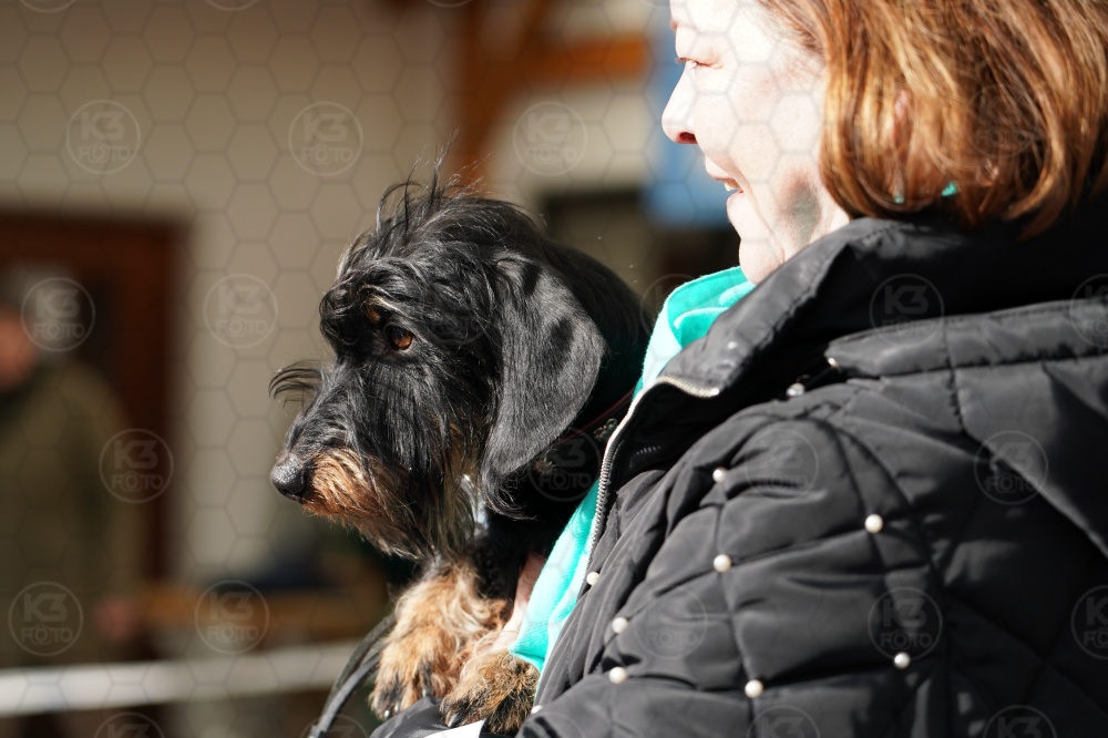 s_A9_00016.jpg
